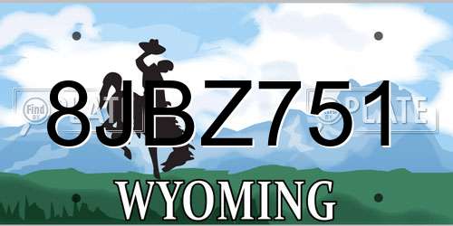 8JBZ751 Wyoming License Plate