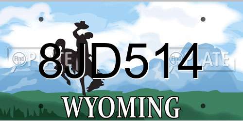 8JD514 Wyoming License Plate