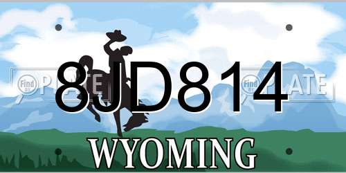 8JD814 Wyoming License Plate