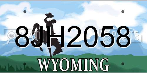 8JH2058 Wyoming License Plate