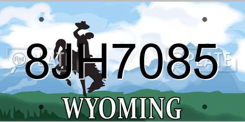 8JH7085 Wyoming License Plate