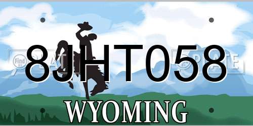 8JHT058 Wyoming License Plate