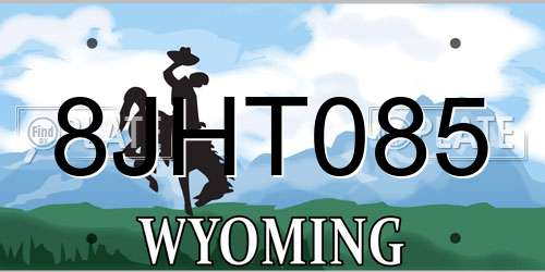 8JHT085 Wyoming License Plate