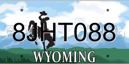 8JHT088 Wyoming License Plate