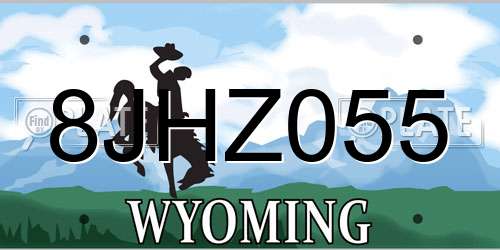 8JHZ055 Wyoming License Plate