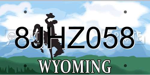 8JHZ058 Wyoming License Plate