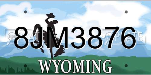 8JM3876 Wyoming License Plate
