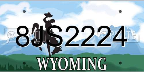8JS2224 Wyoming License Plate