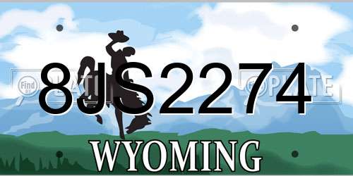 8JS2274 Wyoming License Plate