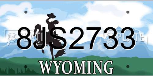 8JS2733 Wyoming License Plate