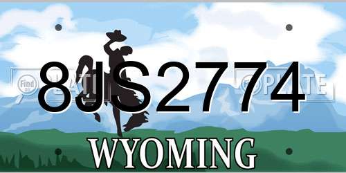 8JS2774 Wyoming License Plate
