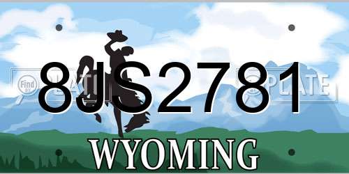 8JS2781 Wyoming License Plate