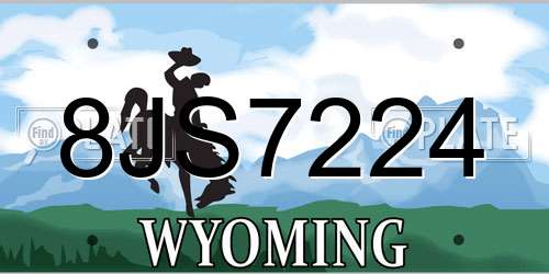 8JS7224 Wyoming License Plate