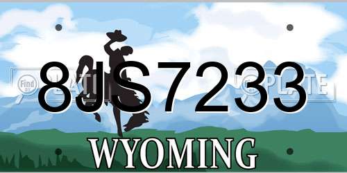 8JS7233 Wyoming License Plate