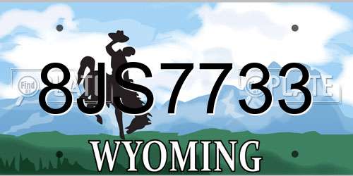 8JS7733 Wyoming License Plate