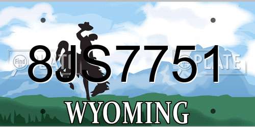 8JS7751 Wyoming License Plate