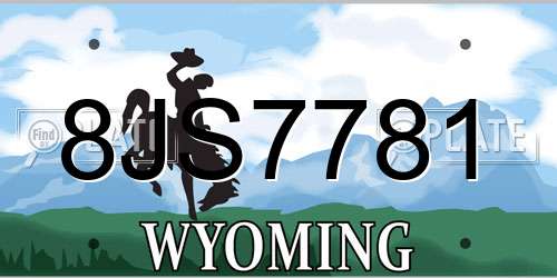 8JS7781 Wyoming License Plate