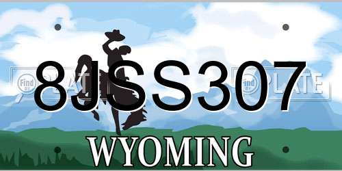 8JSS307 Wyoming License Plate