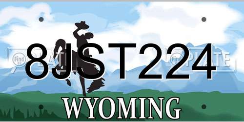 8JST224 Wyoming License Plate