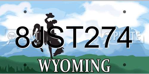 8JST274 Wyoming License Plate