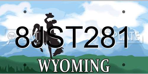 8JST281 Wyoming License Plate