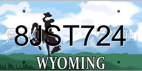 8JST724 Wyoming License Plate