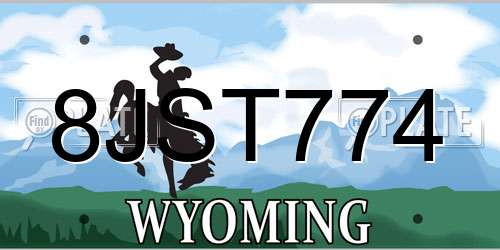 8JST774 Wyoming License Plate