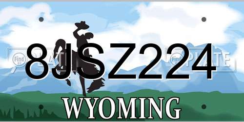 8JSZ224 Wyoming License Plate