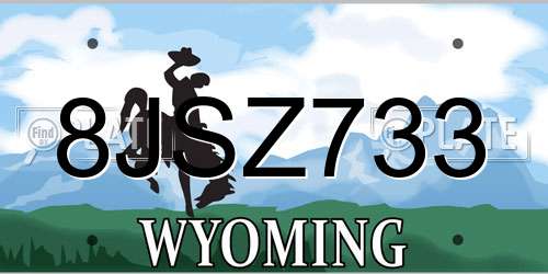8JSZ733 Wyoming License Plate