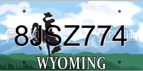 8JSZ774 Wyoming License Plate