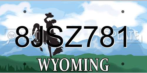 8JSZ781 Wyoming License Plate
