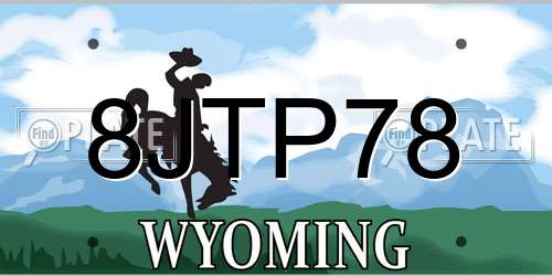 8JTP78 Wyoming License Plate