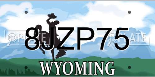8JZP75 Wyoming License Plate