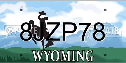 8JZP78 Wyoming License Plate