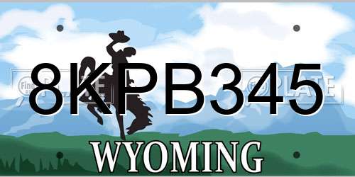 8KPB345 Wyoming License Plate