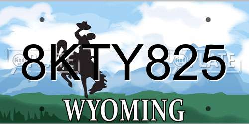 8KTY825 Wyoming License Plate