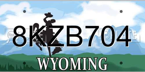8KZB704 Wyoming License Plate