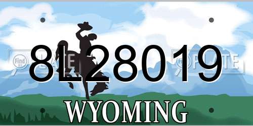 8L28019 Wyoming License Plate
