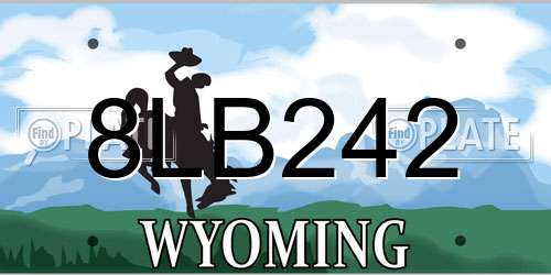 8LB242 Wyoming License Plate