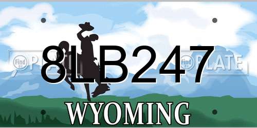 8LB247 Wyoming License Plate