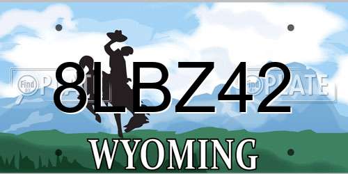 8LBZ42 Wyoming License Plate