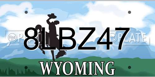 8LBZ47 Wyoming License Plate