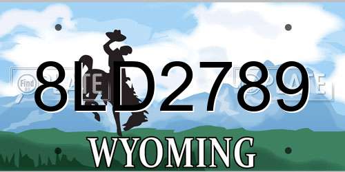 8LD2789 Wyoming License Plate