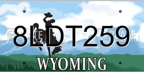 8LDT259 Wyoming License Plate