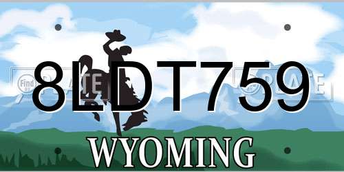 8LDT759 Wyoming License Plate