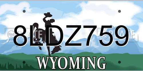 8LDZ759 Wyoming License Plate