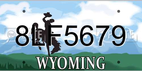 8LF5679 Wyoming License Plate