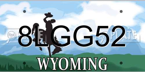 8LGG52 Wyoming License Plate