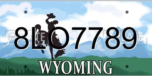 8LO7789 Wyoming License Plate