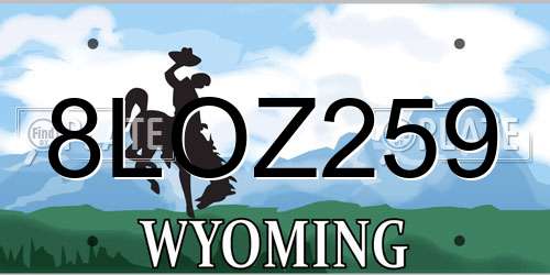 8LOZ259 Wyoming License Plate